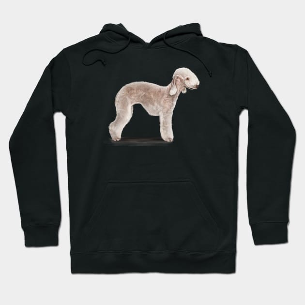 The Bedlington Terrier Dog Hoodie by Elspeth Rose Design